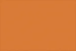 Burnt Orange